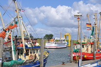 hafentreiben-nordsee-pellworm.jpg