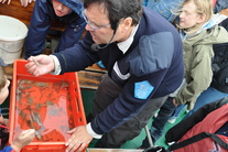 ausflug-nordsee-kinder.jpg