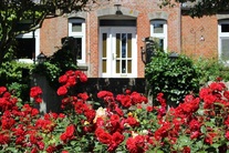 hund-hof-harrsen.jpg