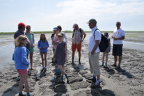 wattwanderung-nordsee-wattenmeer.jpg