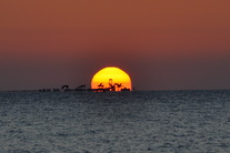 anleger-sonnenaufgang-wattenmeer.jpg
