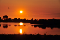waldhusentief-pellworm-nordsee.jpg